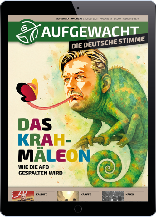 Aufgewacht 8-25 Krah, Kramäleon, digital