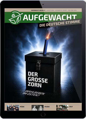 Aufgewacht 8-26 - Der große Zorn - Digital